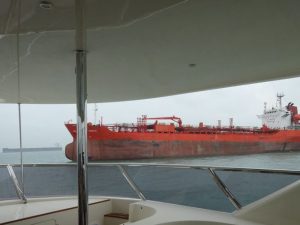 12 Heliotrope Cruising To Singapore